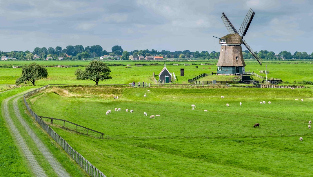 Noord-Holland